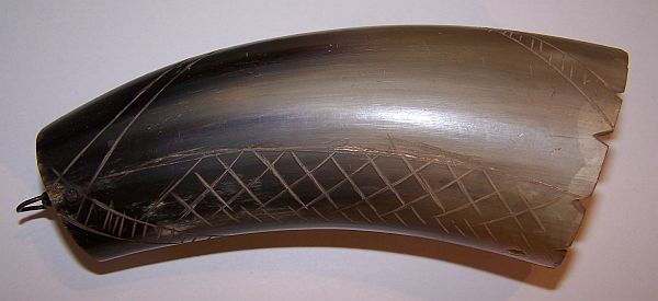 Trinkhorn