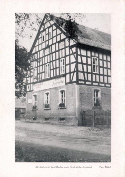 Ziegenböcke